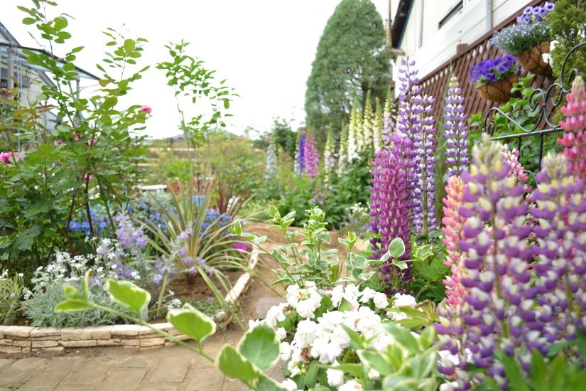 いちはらオープンガーデン2026