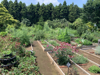 佐倉ハーブ園見学会