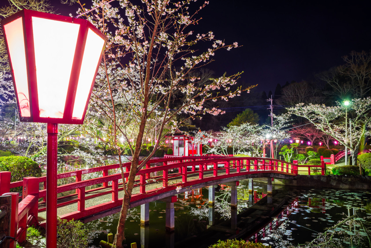 茂原桜まつり/茂原公園|イベント|千葉県公式観光サイト ちば観光ナビ