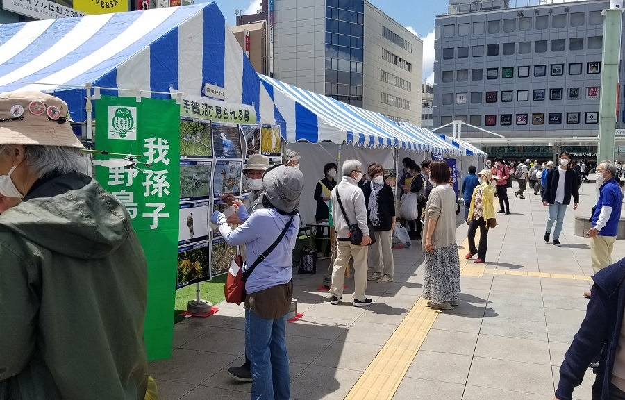 柏市民活動フェスタ2025／柏駅東口ダブルデッキ、ファミリかしわ前広場