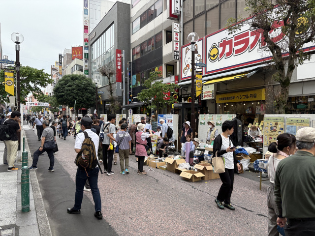 柏市民活動フェスタ2026／柏駅前通りハウディモール歩行者天国・ファミリかしわ前広場・パレット柏