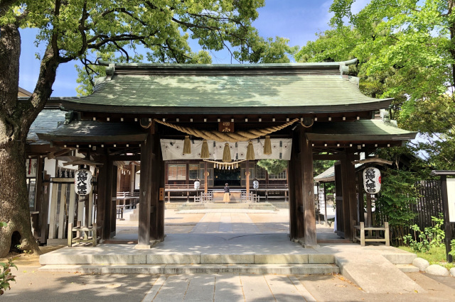 茅の輪くぐり（夏越しの大祓式）／葛飾八幡宮