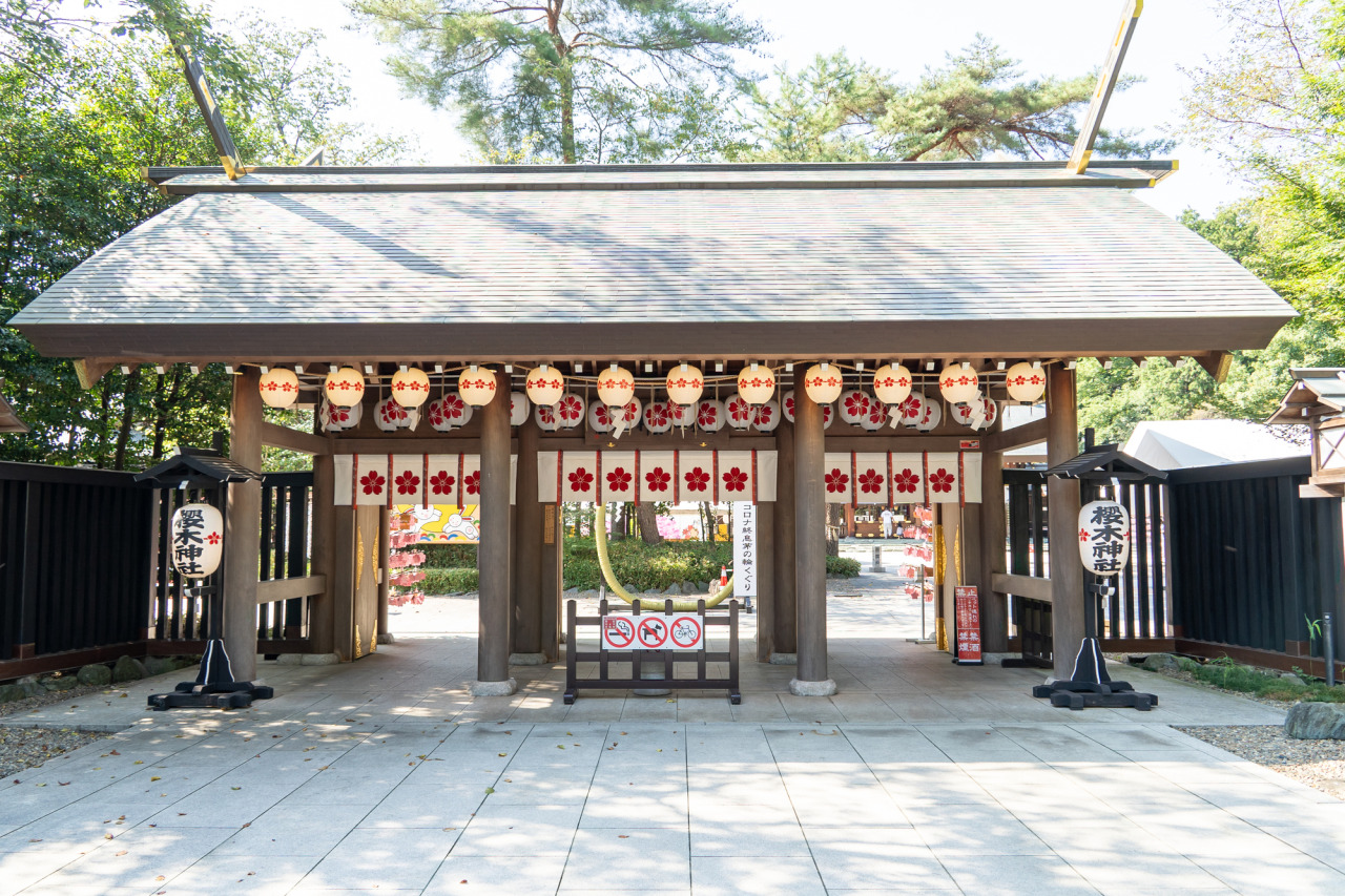 夏越の大祓／櫻木神社