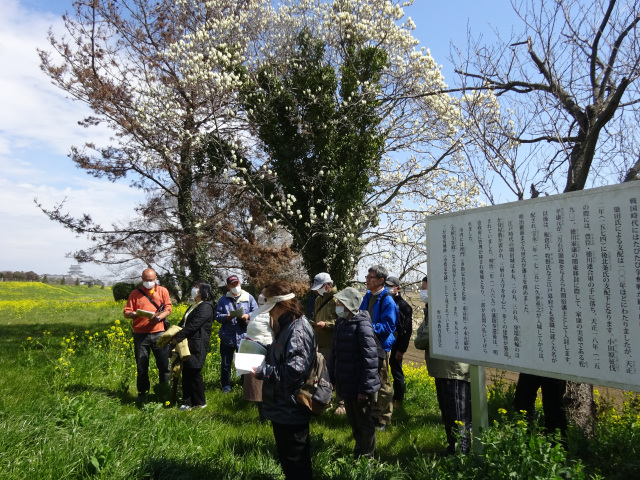 体験教室「関宿城下を歩こう」（城下町コース）／千葉県立関宿城博物館