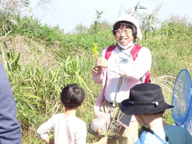 野外教室「河川敷のいきものさがし」／千葉県立関宿城博物館