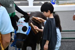乗馬体験　※画像はイメージです