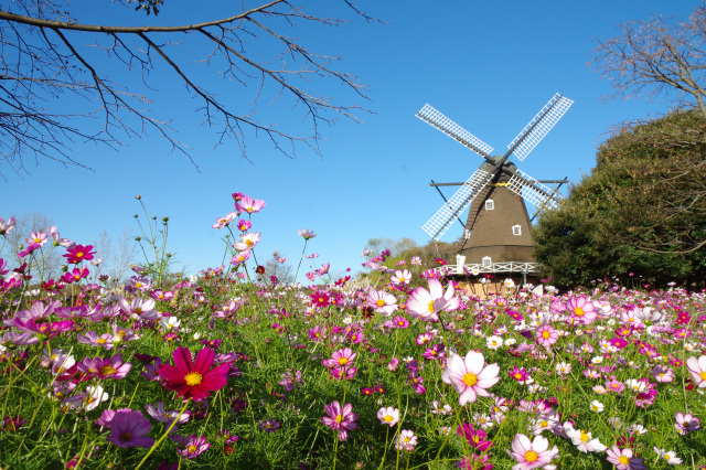 10月のイベント／ふなばしアンデルセン公園