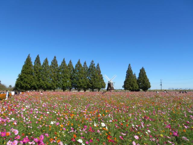 あけフェス／あけぼの山農業公園　あけぼの山公園