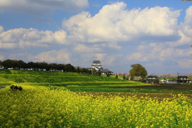 第24回関宿城百景写真展／千葉県立関宿城博物館