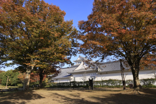 令和７年度　館長賞