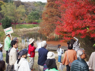 紅葉ウォッチング