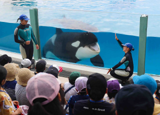 鴨川シーワールド提供