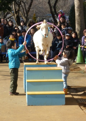 やぎさんニューイヤーショー