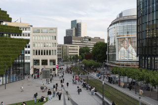 《Untitled》 2025年