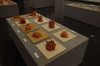 令和5年度展覧会風景　ワークショップ作品
