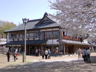 桜（総屋前）