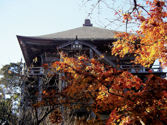 ぐるっと長生きフェスタ2025in長南／称念寺・豊榮神社・野見金公園・長福寿寺・笠森観音