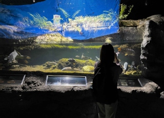夜の水族館へ