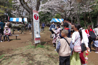 クイズラリーの様子