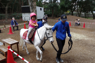 乗馬コーナーの様子