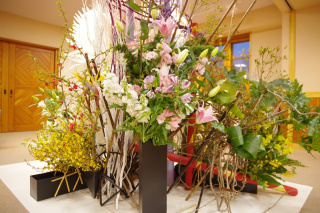 花の展示