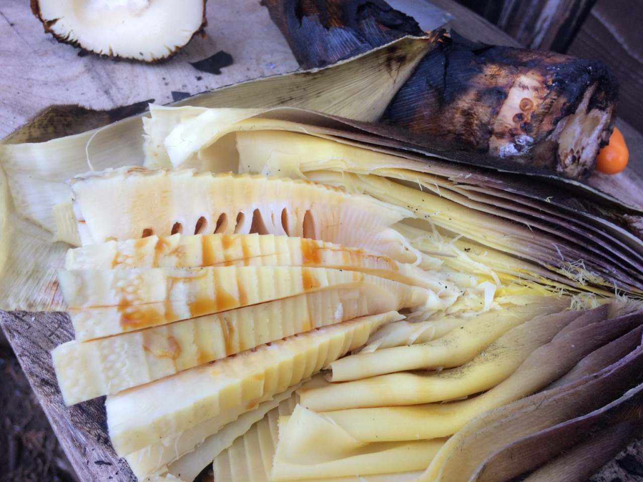 たけのこ掘り／空と大地の丘 森本農園