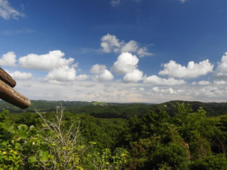 夏 展望台からの眺め