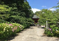 日運寺①