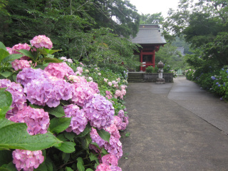 日運寺
