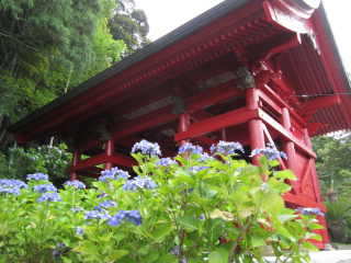 日運寺