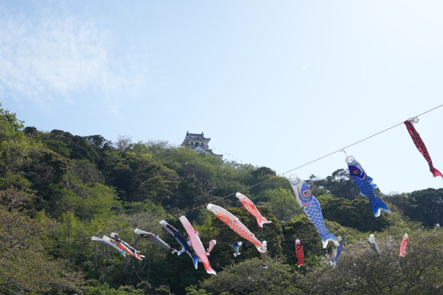 こいのぼり／城山公園・館山城