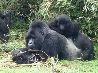 熱帯雨林の世界をのぞく／千葉市動物公園