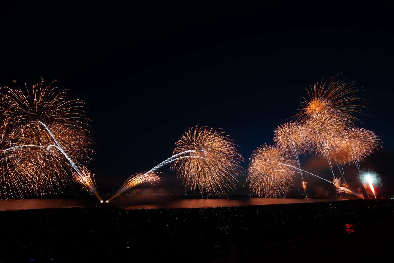 第47回千葉市民花火大会「幕張ビーチ花火フェスタ2025」／幕張海浜公園