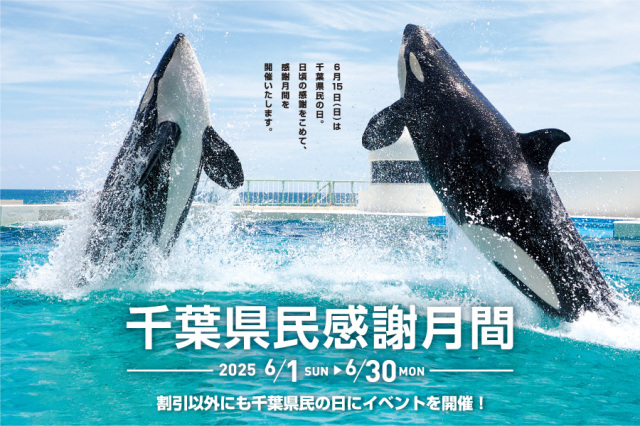 「千葉県民感謝月間」＆「千葉県民の日 マダイの放流体験」／ 鴨川シーワールド