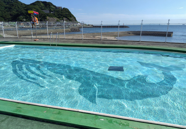 金谷海浜公園プール