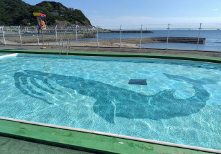 金谷海浜公園プール低学年用プール
