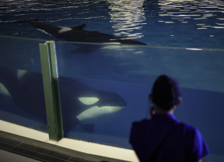 夜の水族館へ