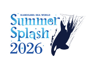 サマースプラッシュロゴ 2026