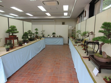 秋の盆栽作風展／千葉市都市緑化植物園