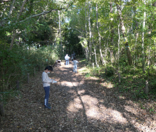 生態園でツリーラリー