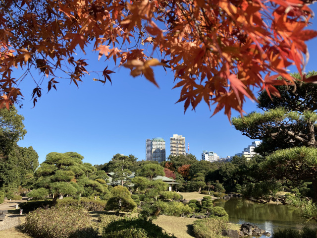 見浜園灯ろうまつり2026～庭園ライトアップ／幕張海浜公園 日本庭園「見浜園」
