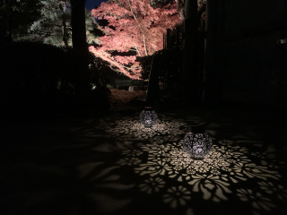 紅葉ライトアップ