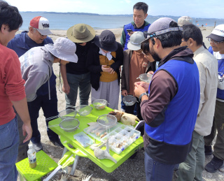 ビーチコーミングレクチャーの様子