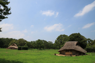 加曽利貝塚 復原集落