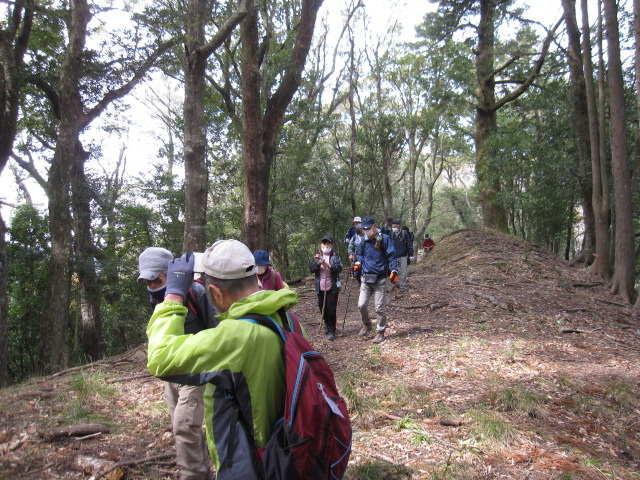 石尊山古道ハイキング／内浦山県民の森