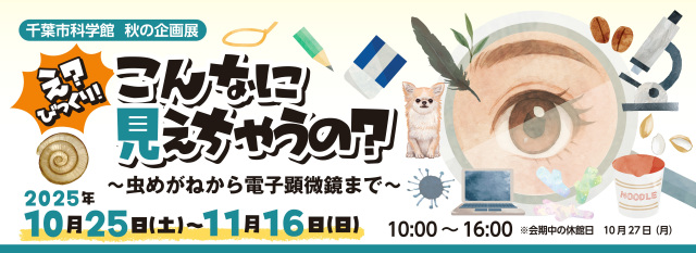 秋の企画展「え？びっくり！こんなに見えちゃうの？ ～虫めがねから電子顕微鏡まで～」／千葉市科学館