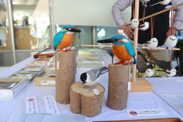 ジャパンバードフェスティバル2025／我孫子市手賀沼周辺