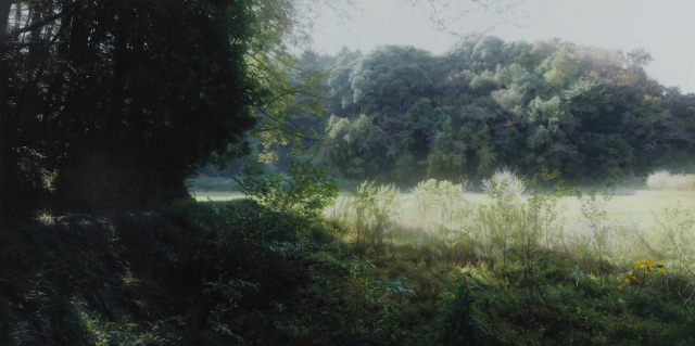  画布に描くまなざしーホキ美術館風景画展／ ホキ美術館