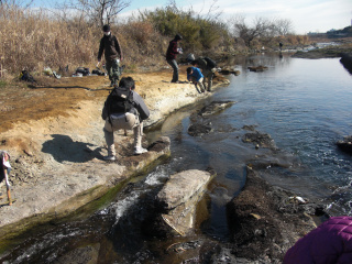 メタセコイア化石林の観察