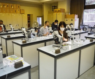 地衣類の顕微鏡観察